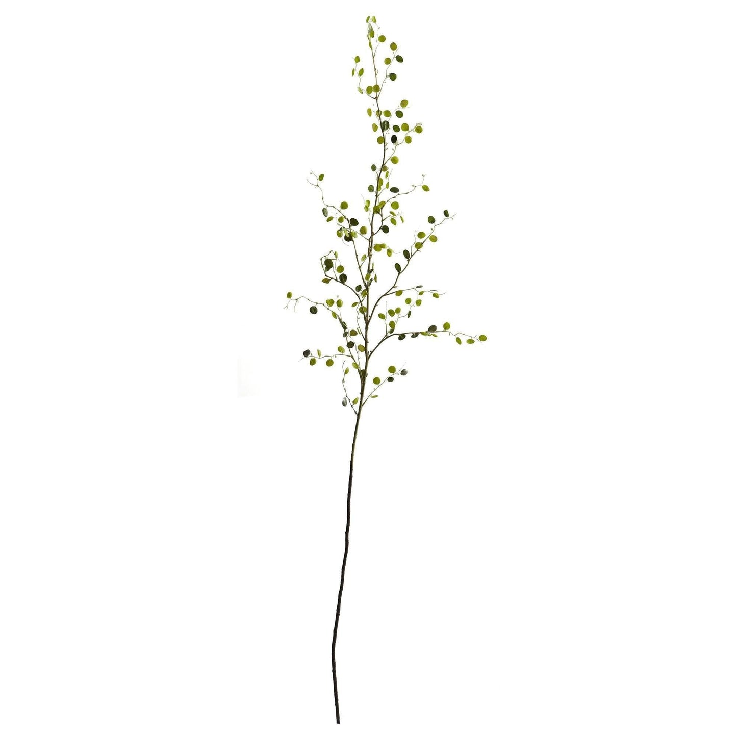 48in Night Willow artificial stem set of 6 with green rounded leaves by Nearly Natural on Tampa Home & Garden Store