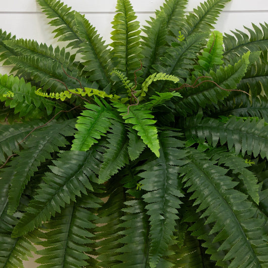 Nearly Natural 48in UV-Resistant Artificial Boston Fern set of 2 with green fronds on Tampa Home & Garden Store