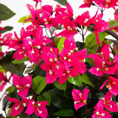 4 ft UV resistant artificial spiral bougainvillea tree with pink blooms and green leaves on Tampa Home & Garden Store