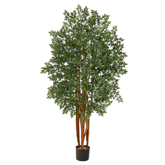 5’ Aralia Artificial Tree - Tampa Home & Garden Store