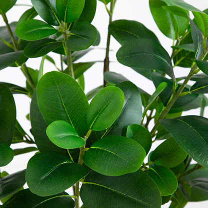 5 Foot Artificial Audrey Ficus Tree for Home