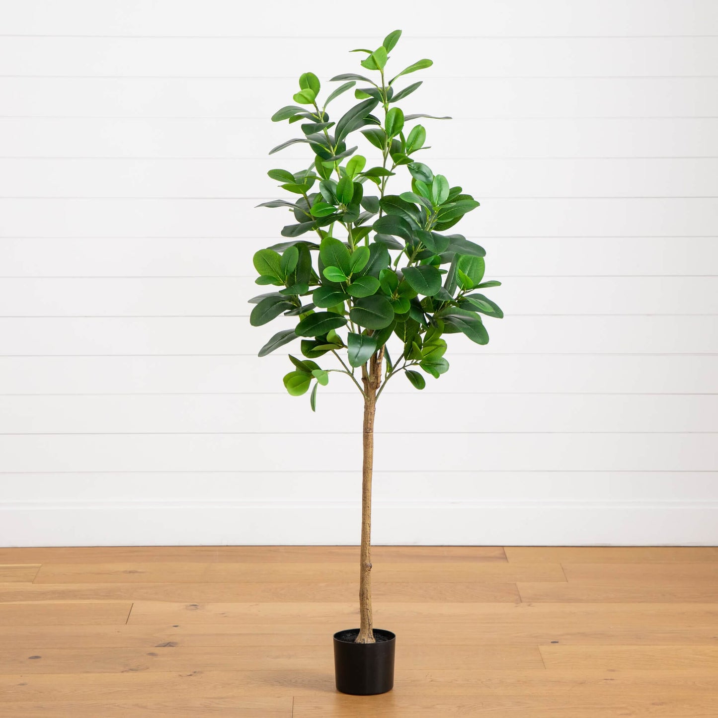 5 Foot Artificial Audrey Ficus Tree for Home