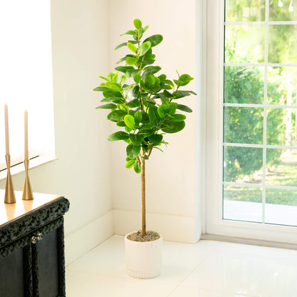5 Foot Artificial Audrey Ficus Tree for Home