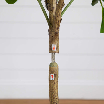 5 Foot Artificial Audrey Ficus Tree for Home