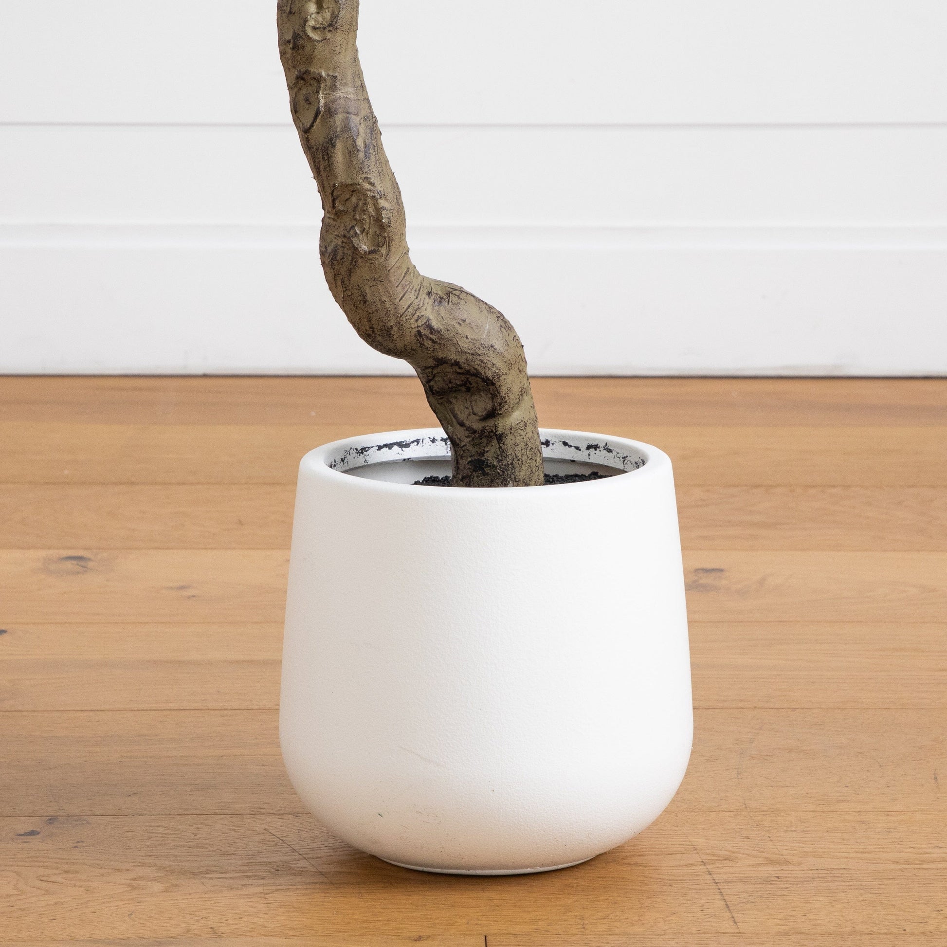 5 ft artificial bonsai cedar tree in decorative white planter by Nearly Natural on Tampa Home & Garden Store