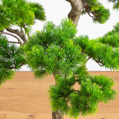 5 ft artificial bonsai cedar tree in decorative white planter, green foliage Nearly Natural on Tampa Home & Garden Store