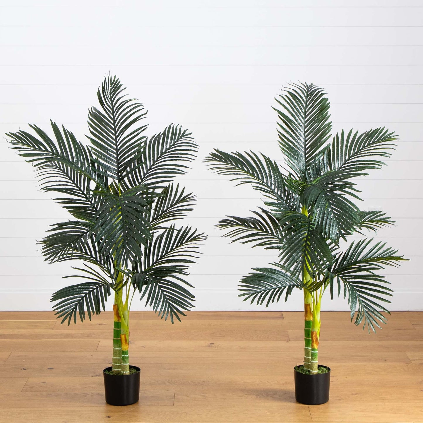 Palmera de caña dorada artificial de 1,5 m con doble tronco - Juego de 2