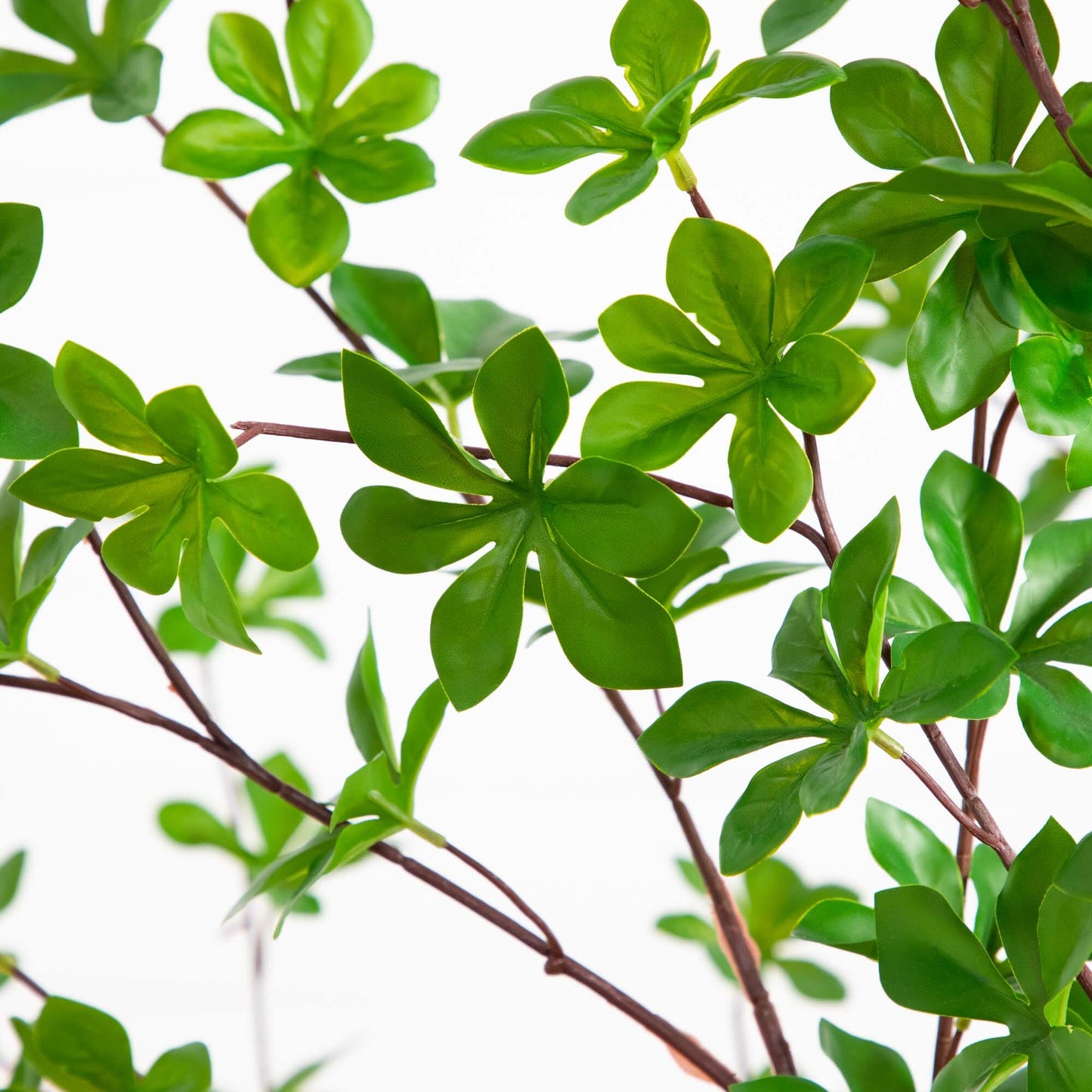 Artificial Enkianthus Tree In A White Planter