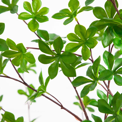 Artificial Enkianthus Tree In A White Planter