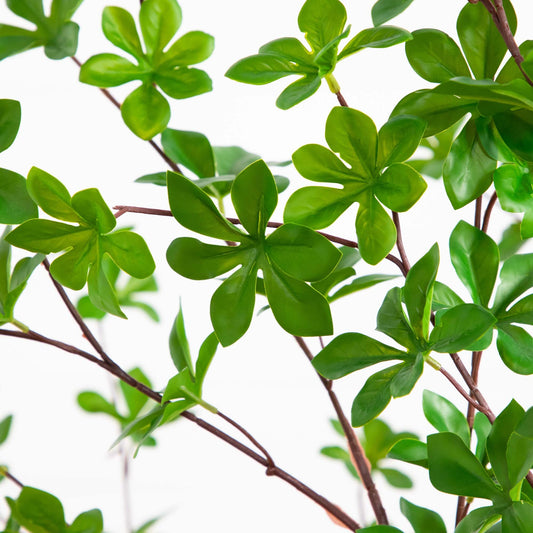 Artificial Enkianthus tree with glossy green leaves on brown stems Nearly Natural on Tampa Home & Garden Store