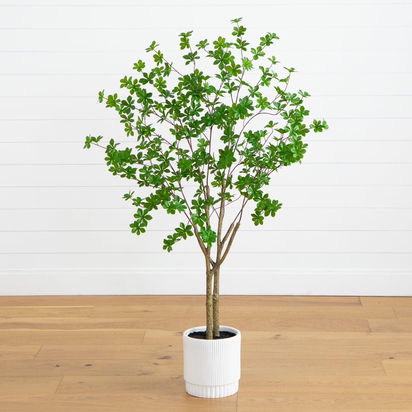 Artificial Enkianthus Tree In A White Planter
