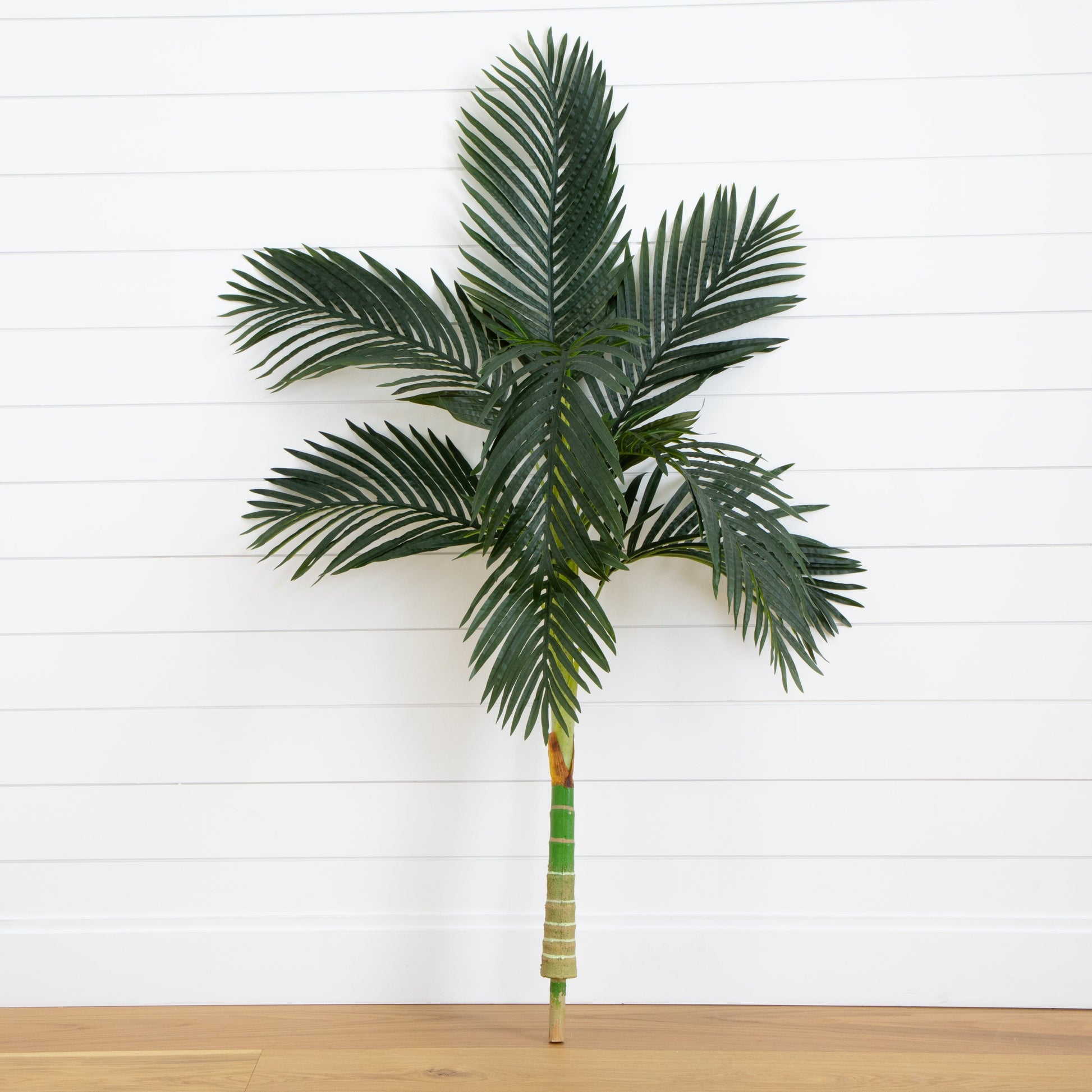 5 ft artificial Golden Cane Palm Tree without pot with dark green fronds and a segmented trunk on Tampa Home & Garden Store