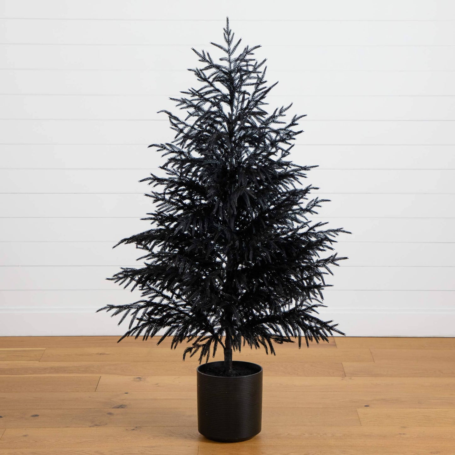 5 ft artificial Black Norfolk Pine Christmas Tree Real Touch by Nearly Natural in black pot on Tampa Home & Garden Store