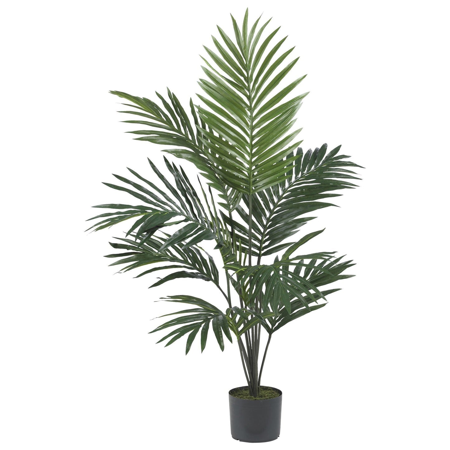 Palmera Kentia Artificial de Seda de 5 pies