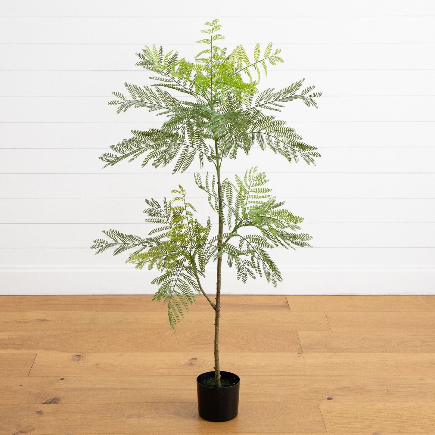 5 Foot Artificial Green Jacaranda Tree for Home