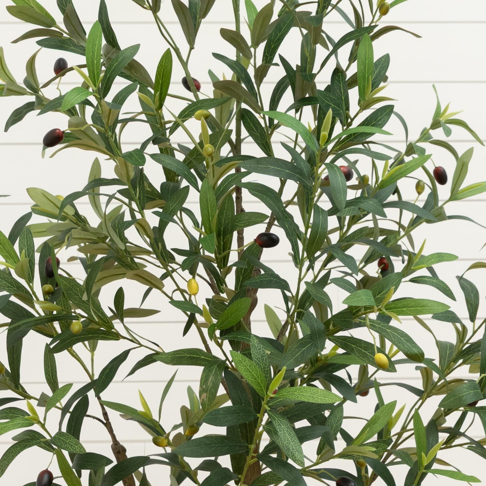 5’ Artificial Olive Tree in White Planter, Nearly Natural, green leaves with olives on Tampa Home & Garden Store