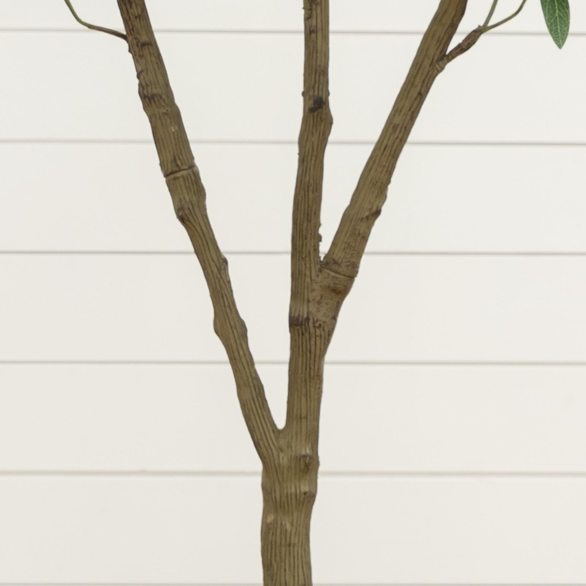 5 ft artificial olive tree with brown trunk and green leaves by Nearly Natural on Tampa Home & Garden Store
