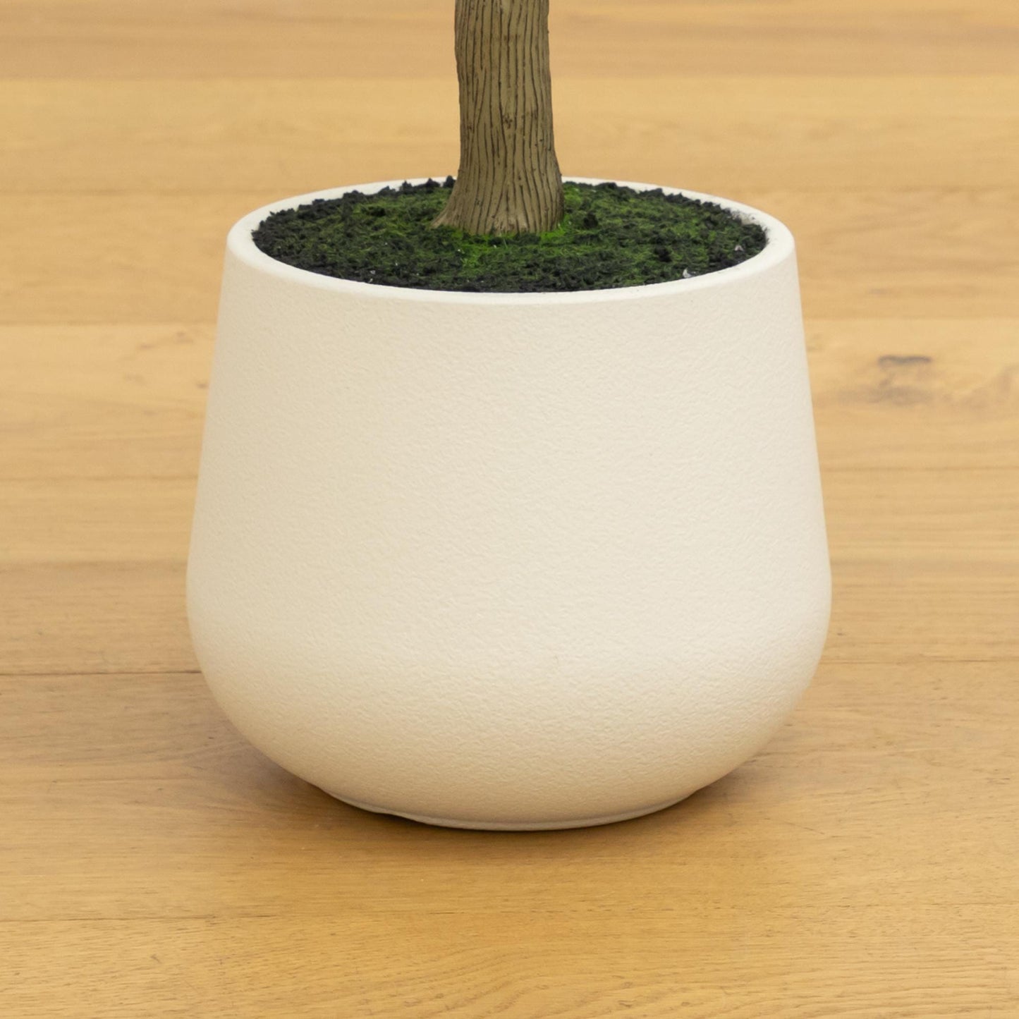 5’ artificial olive tree in white decorative planter with mossy soil Nearly Natural on Tampa Home & Garden Store