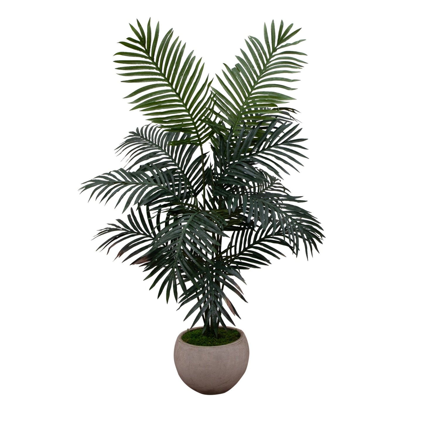 5 Foot Artificial Paradise Palm in Bowl Planter