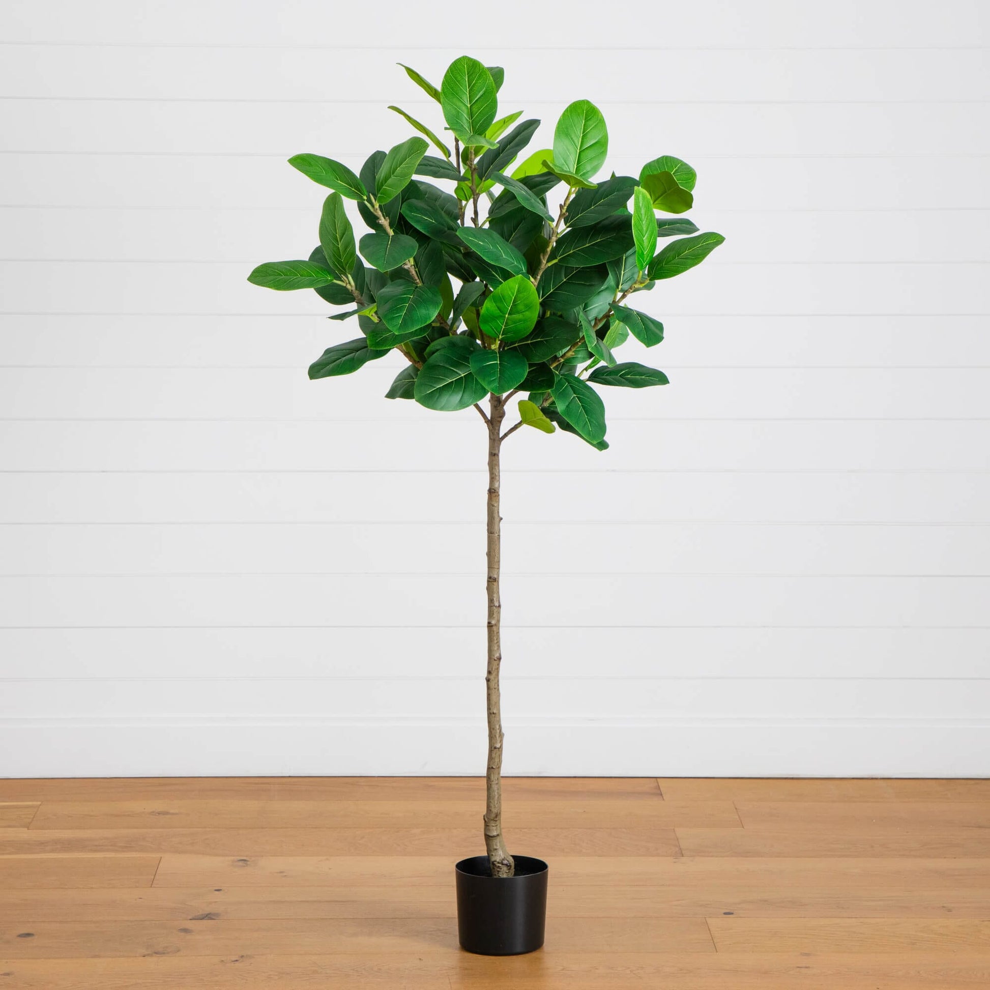 5' Artificial Audrey Ficust Tree Nearly Natural in a black pot with green ficus foliage on Tampa Home & Garden Store