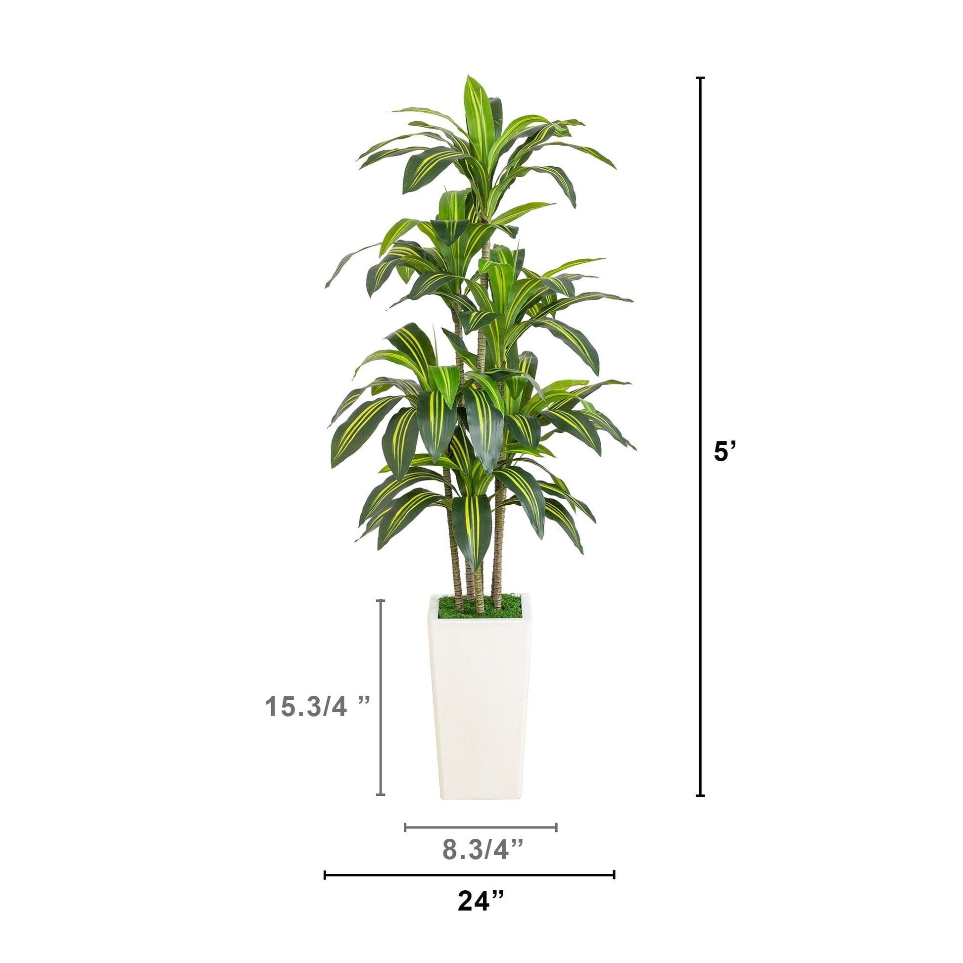 5' artificial Dracaena tree with variegated yellow-green leaves in a white planter by Nearly Natural on Tampa Home & Garden Store
