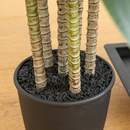 Nearly Natural 5' Real Touch Dracaena tree in decorative planter with textured trunks on Tampa Home & Garden Store