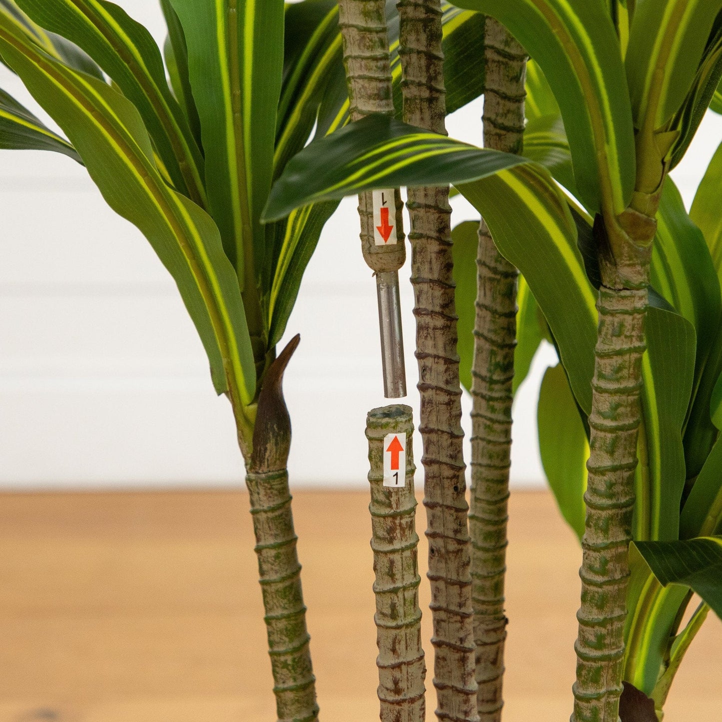 5 ft artificial Real Touch Dracaena tree in decorative planter with lush green leaves on Tampa Home & Garden Store