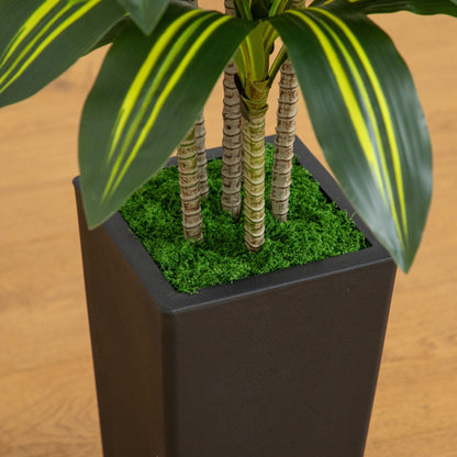 Nearly Natural 5' artificial Dracaena tree in decorative planter with striped leaves and moss on Tampa Home & Garden Store