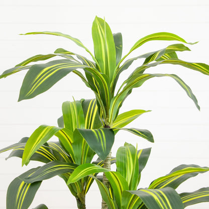 5' Artificial real-touch Dracaena tree in planter by Nearly Natural with variegated green leaves on Tampa Home & Garden Store