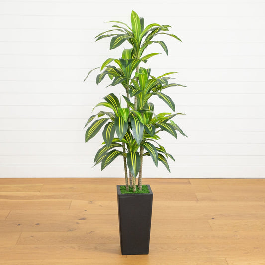 5' artificial Dracaena tree in decorative black planter with moss Nearly Natural on Tampa Home & Garden Store