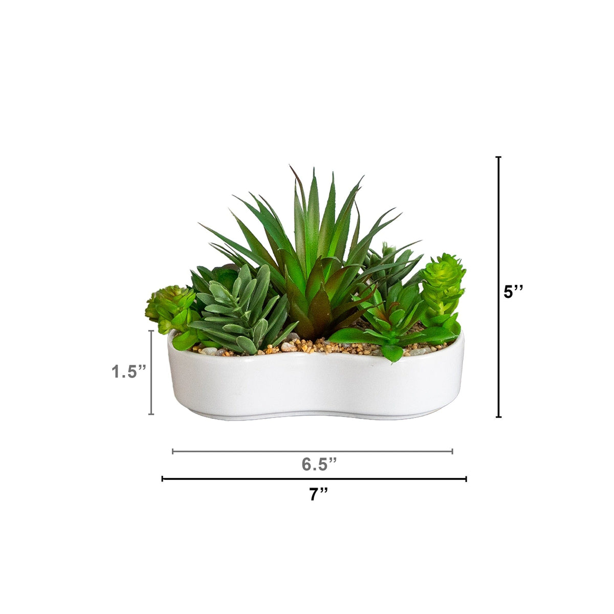 Artificial succulent garden in white ceramic planter, 5-inch, Nearly Natural, set of 2 on Tampa Home & Garden Store