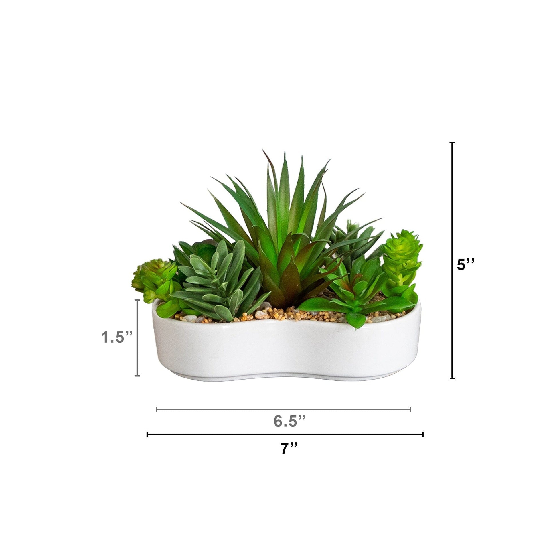 Artificial succulent garden in white ceramic planter, 5-inch, Nearly Natural, set of 2 on Tampa Home & Garden Store