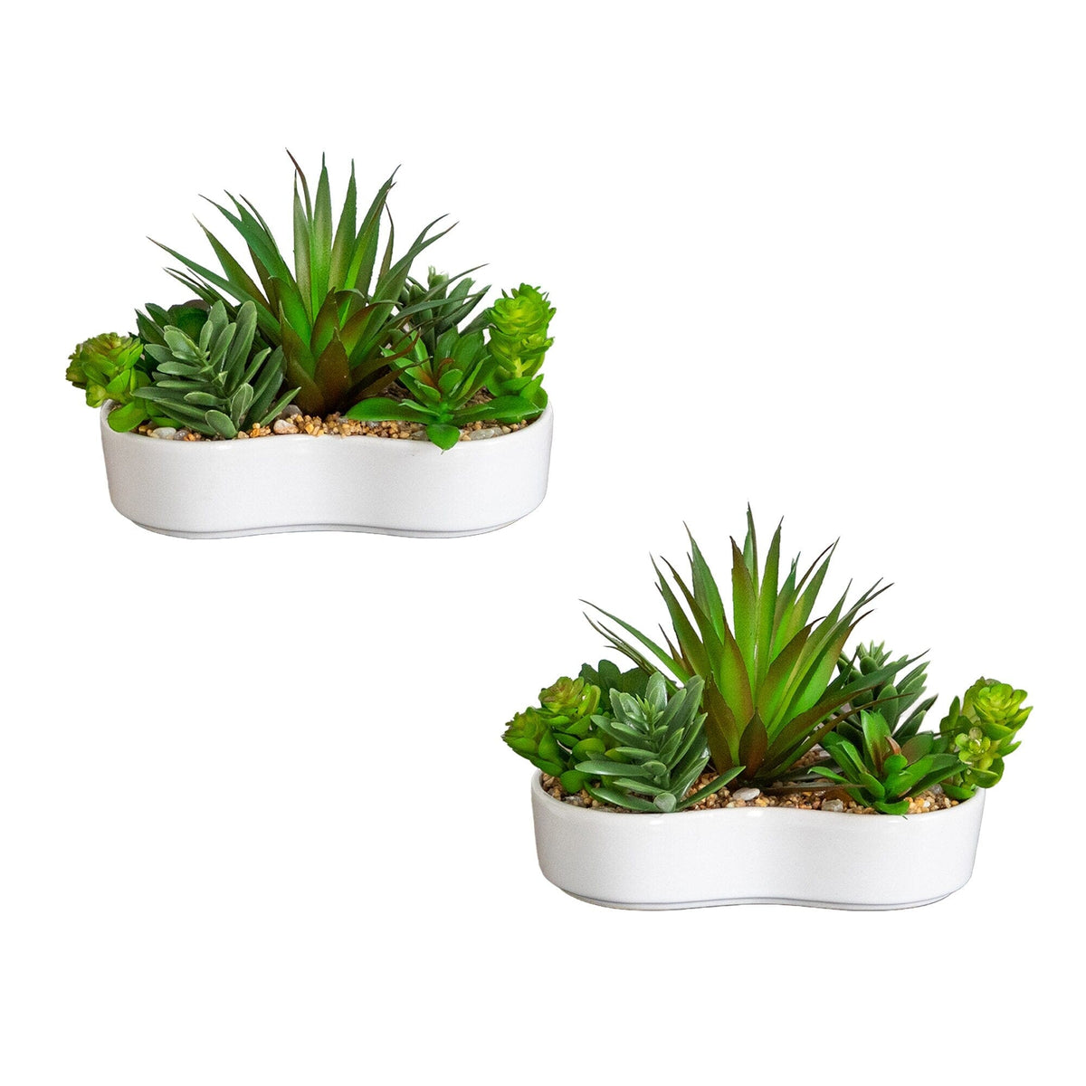 5-inch artificial succulent garden in white ceramic planter set of 2 Nearly Natural on Tampa Home & Garden Store
