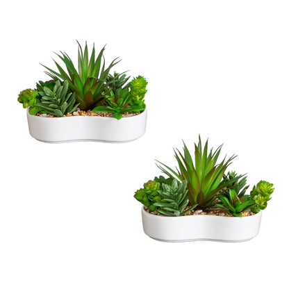 5-inch artificial succulent garden in white ceramic planter set of 2 Nearly Natural on Tampa Home & Garden Store