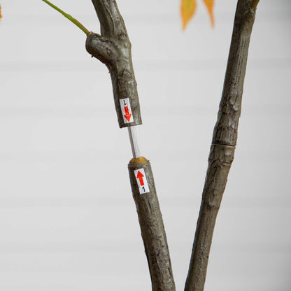 5 Foot Artificial Maple Tree and Fall Decor