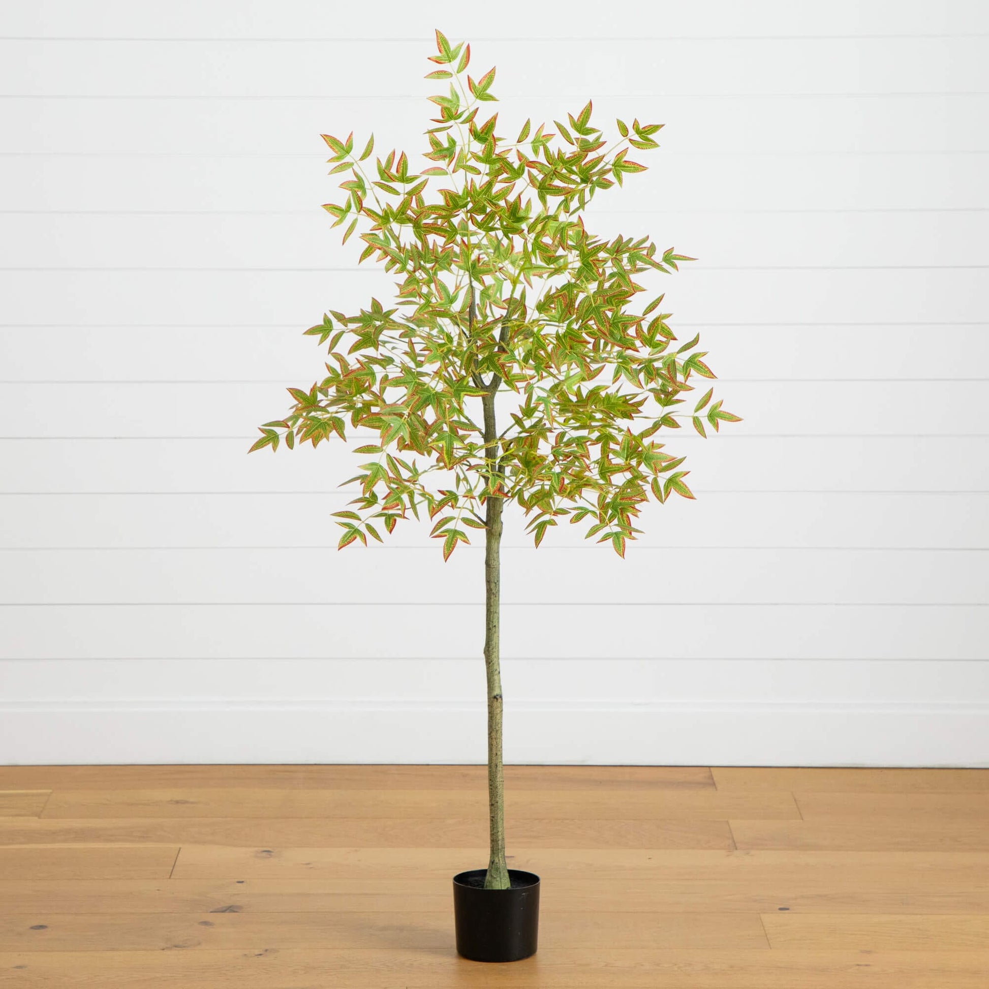 5' Autumn Nandina Fall Tree by Nearly Natural with green leaves edged in red in a pot on Tampa Home & Garden Store