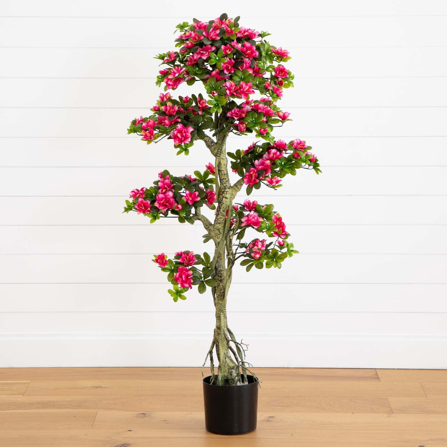 Vivid Pink Azalea And The Artificial Indoor Tree