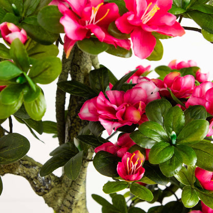Vivid Pink Azalea And The Artificial Indoor Tree