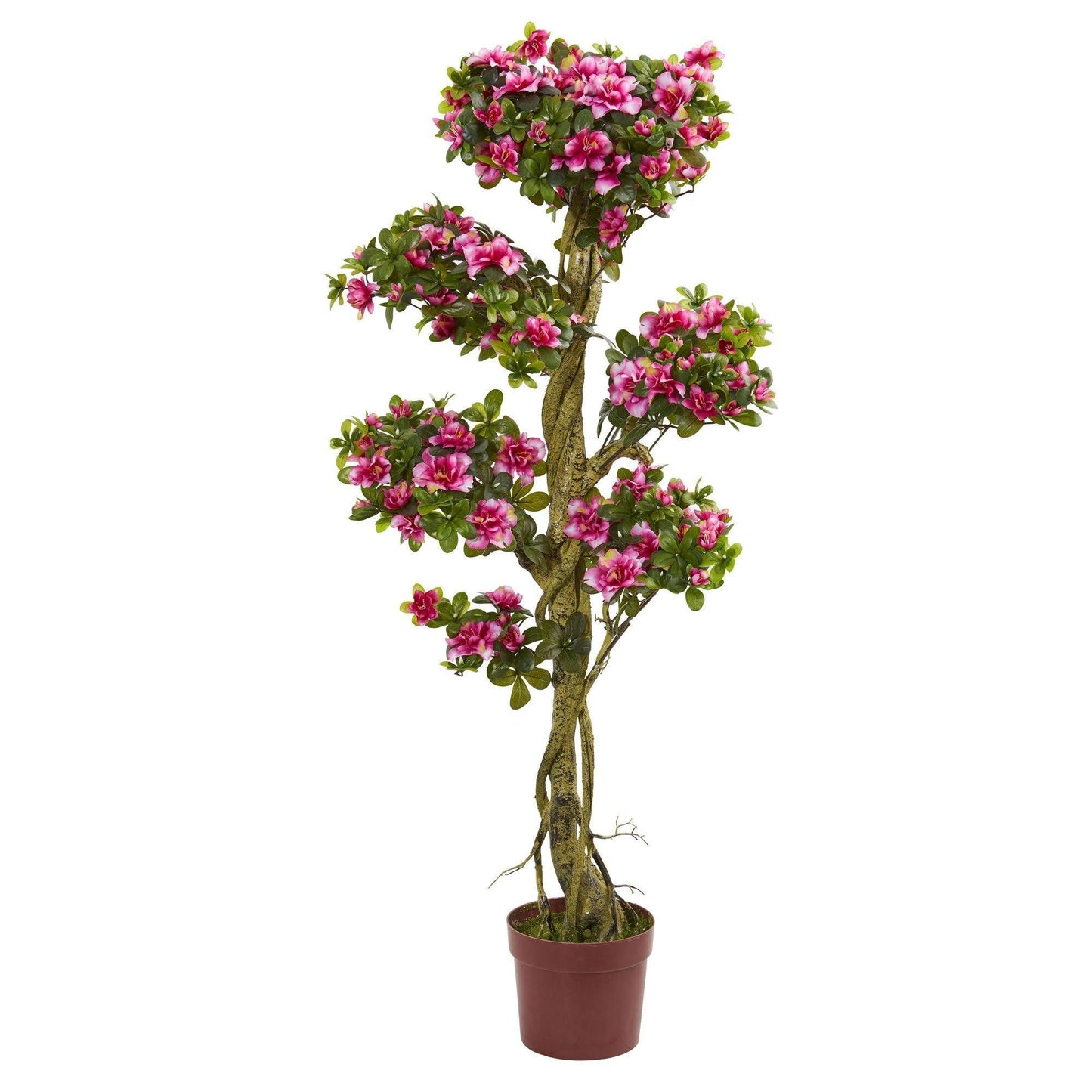 Vivid Pink Azalea And The Artificial Indoor Tree