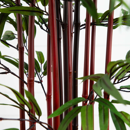 5-foot bamboo silk tree in planter with red and dark brown stalks and green leaves on Tampa Home & Garden Store