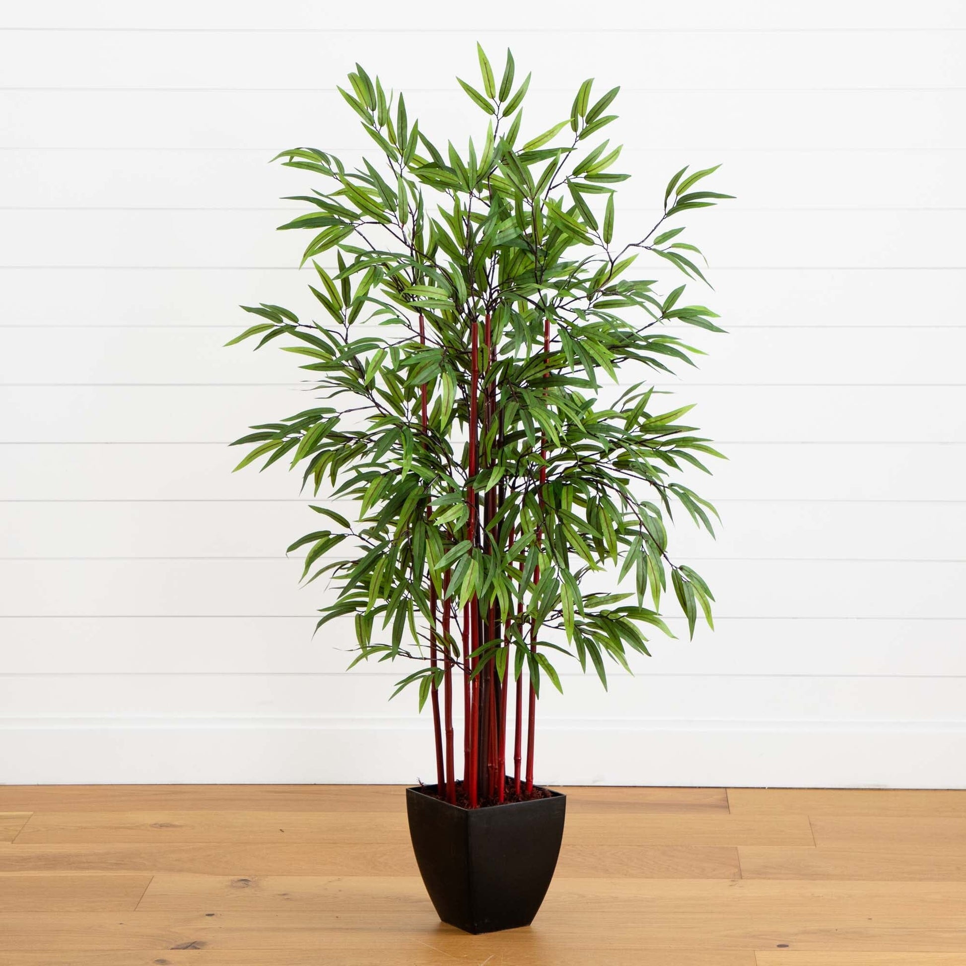 5’ Bamboo Silk Tree in Planter by Nearly Natural with green leaves and red stems on Tampa Home & Garden Store