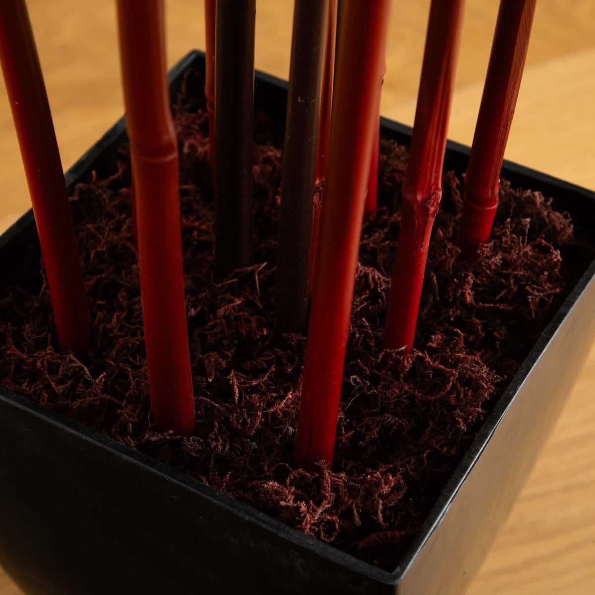 5' Bamboo Silk Tree w/Planter, red bamboo stems in a black planter with brown mulch on Tampa Home & Garden Store
