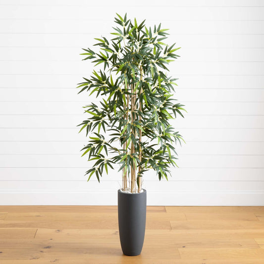 5’ Bamboo Tree in Gray Cylinder Planter - Tampa Home & Garden Store