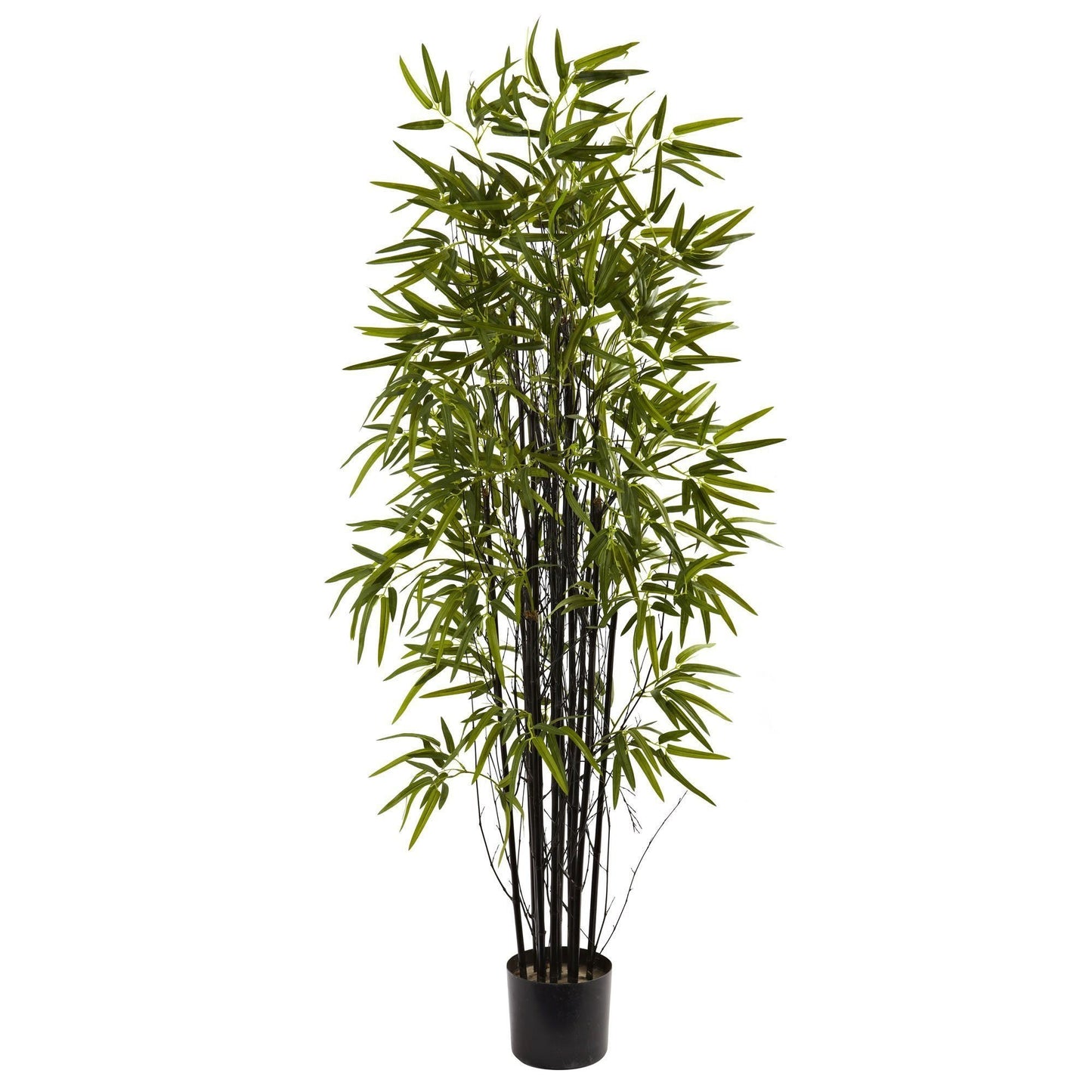 5’ Black Bamboo Tree Nearly Natural in a black planter with black canes and green leaves on Tampa Home & Garden Store