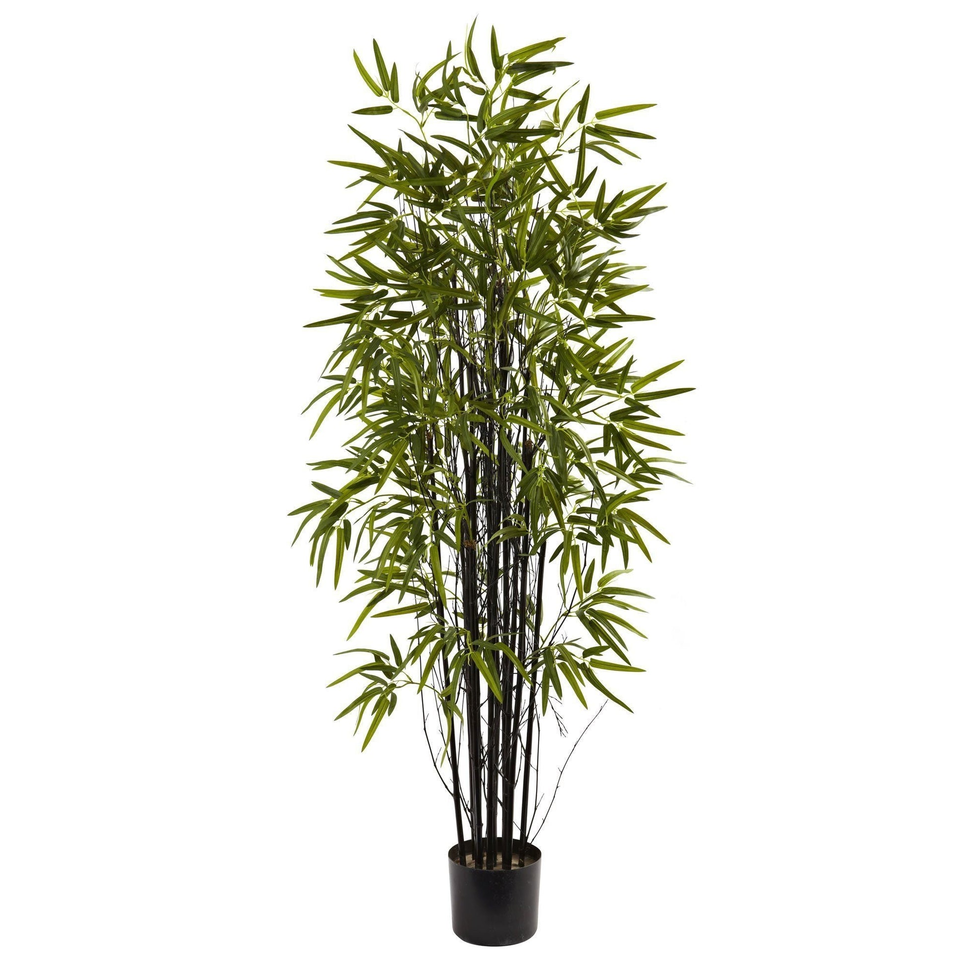 5’ Black Bamboo Tree Nearly Natural in a black planter with black canes and green leaves on Tampa Home & Garden Store