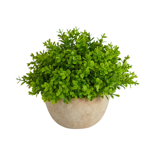 5” Boxwood Artificial Plant in Decorative Planter - Tampa Home & Garden Store