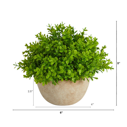 5” Boxwood Artificial Plant in Decorative Planter - Tampa Home & Garden Store