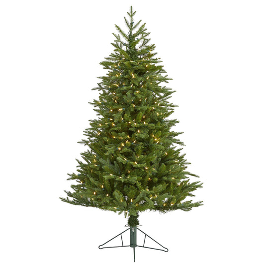 Cambridge Fir 5' Christmas tree with 300 clear warm LED lights and 570 bendable branches on Tampa Home & Garden Store