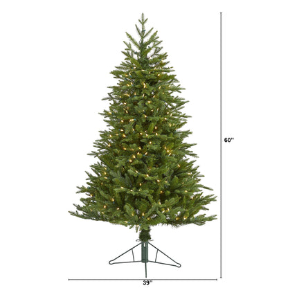 5 ft Cambridge Fir artificial Christmas tree with 300 warm LED lights and 570 bendable branches on Tampa Home & Garden Store