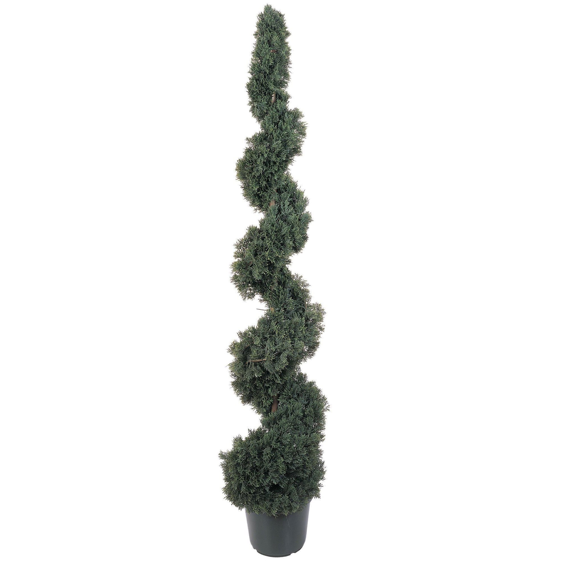 5' Cedar Spiral Silk Tree by Nearly Natural in a dark planter for indoor outdoor use on Tampa Home & Garden Store